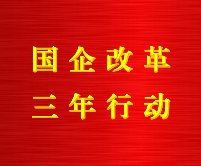 蹄疾步稳推改革 提质增效促发展