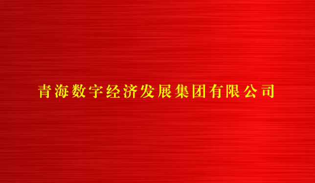 青海数字经济发展集团有限公司